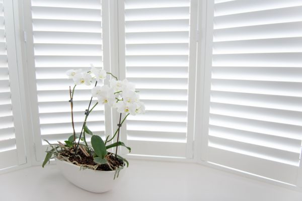 Shutter Replacement Service