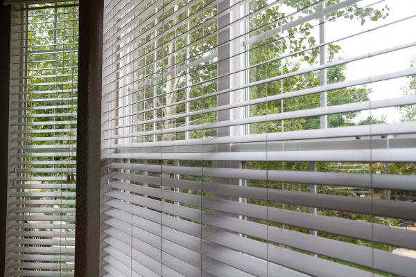 Window Blinds Repair